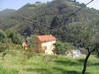 Azienda.gif 