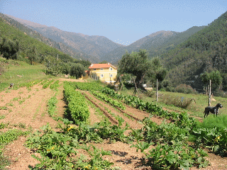 Lavoro.gif 