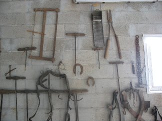 fattoria9.jpg 
